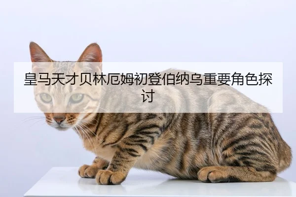 皇马天才贝林厄姆初登伯纳乌重要角色探讨（Yamei）