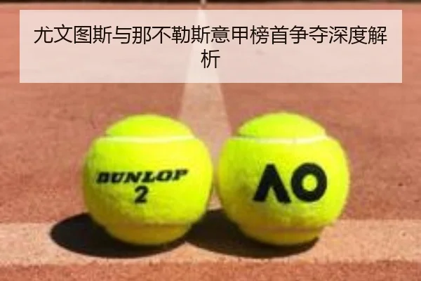 尤文图斯与那不勒斯意甲榜首争夺深度解析（Yamei）